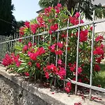 Charming Hill Апартаменты