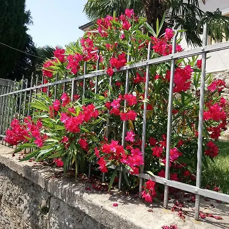 Charming Hill Appartement