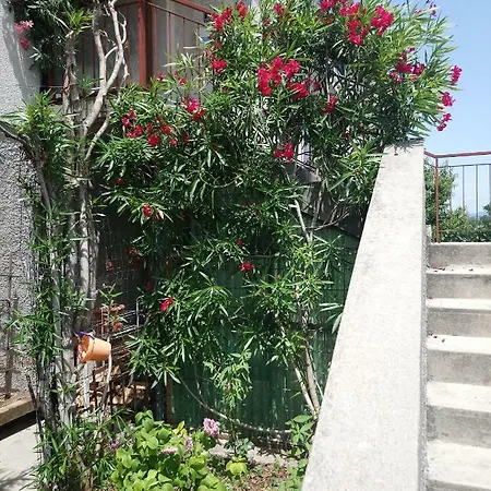 Charming Hill Apartman *