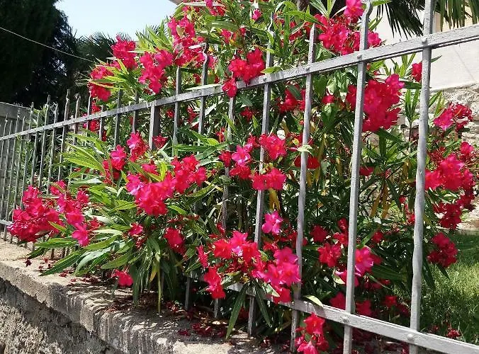 Charming Hill شقة