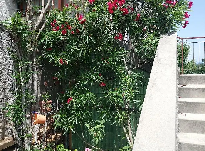 Charming Hill شقة *